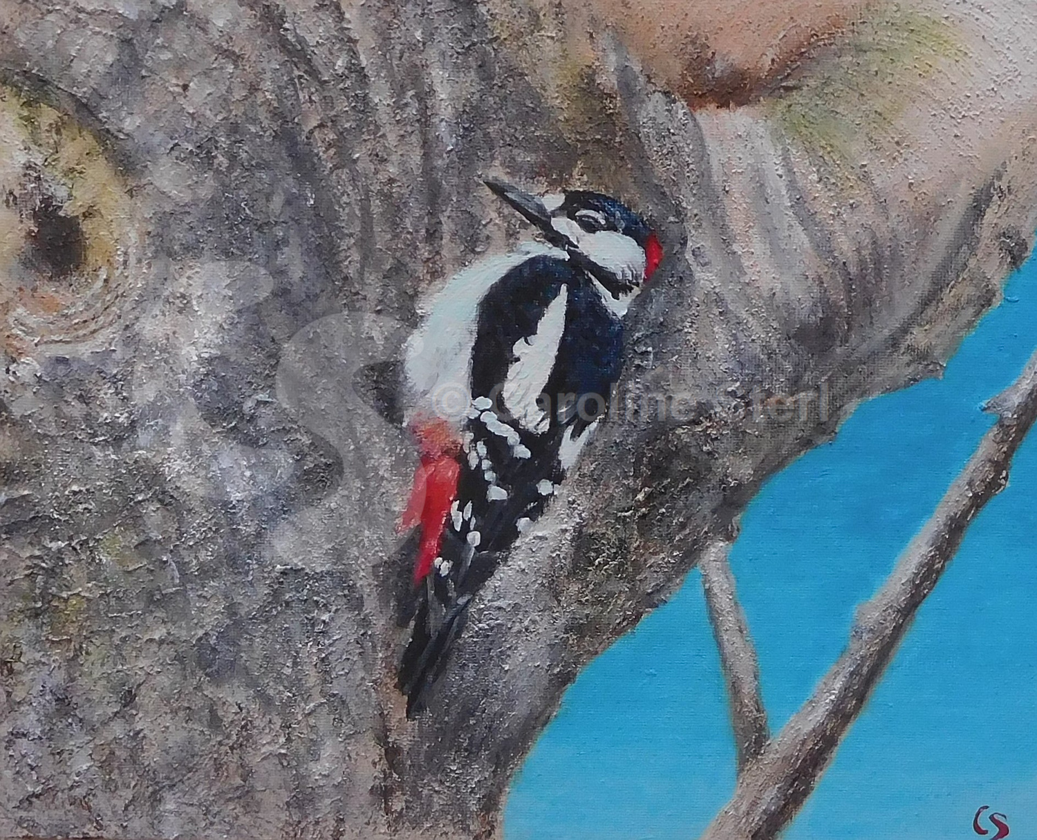 Painting: Great Spotted Woodpecker